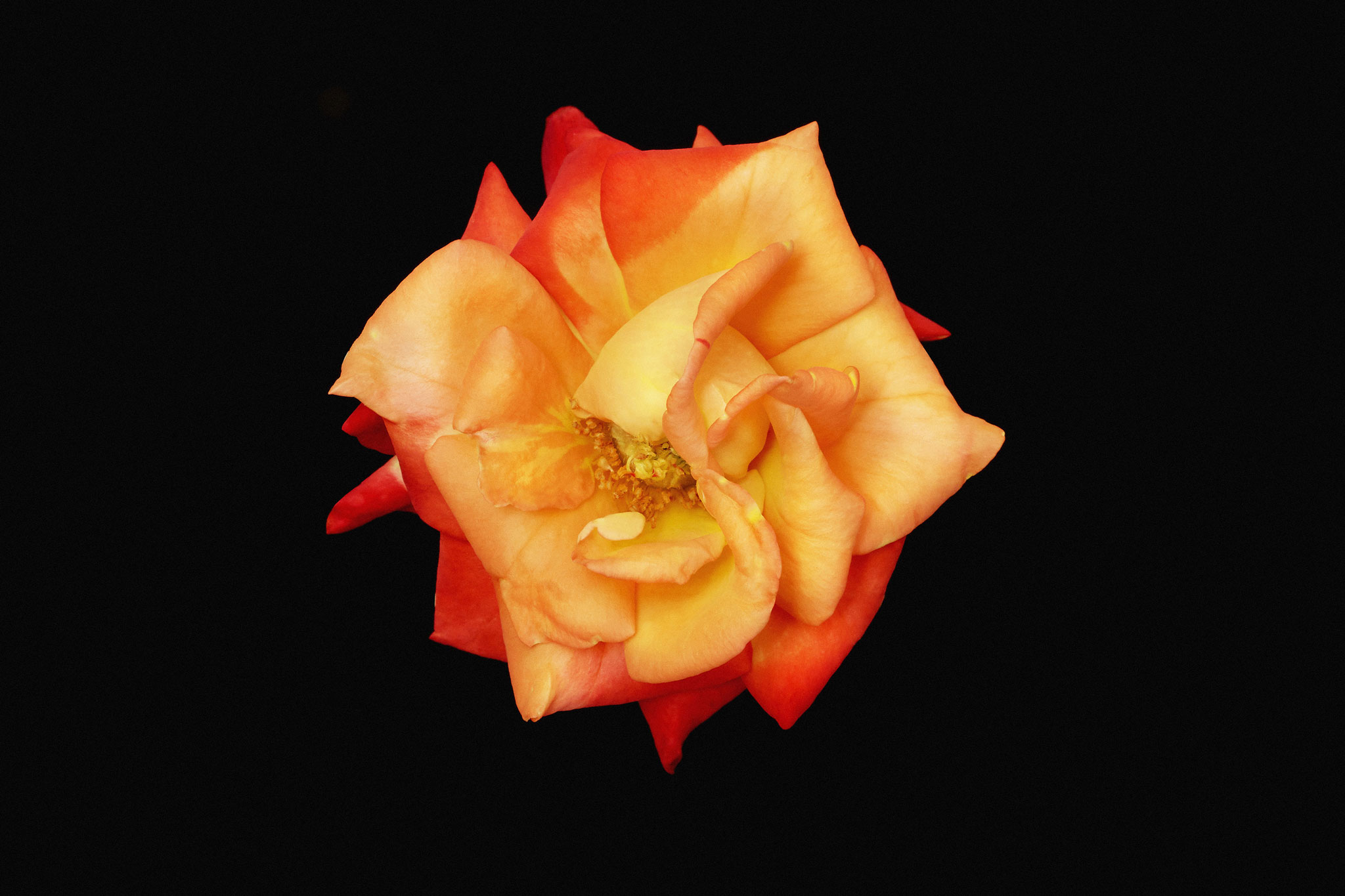 Lorenzo Gori Fotografia